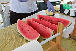 rebanadas de sandia