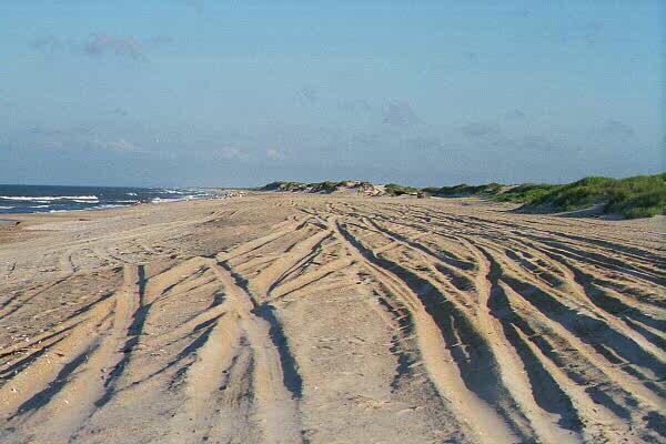 <img typeof="foaf:Image" src="http://statelibrarync.org/learnnc/sites/default/files/images/dune_stability.jpg" width="600" height="400" alt="Threatened dune stability" title="Threatened dune stability" />