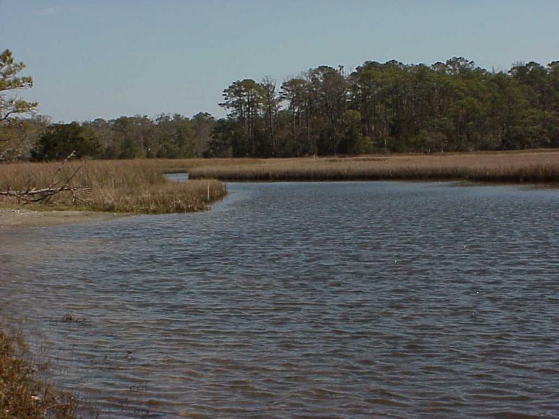 <img typeof="foaf:Image" src="http://statelibrarync.org/learnnc/sites/default/files/images/salt_marsh.jpg" width="1024" height="768" alt="Salt marshes" title="Salt marshes" />