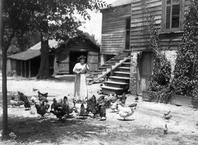 Agriculture.Poultry.F3  From the H. H. Brimley Photograph Collection (Ph.C.42), North Carolina State Archives.