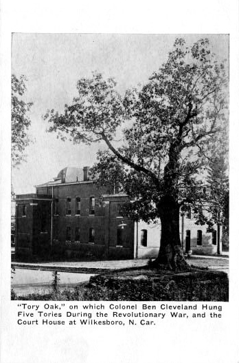 Postcard of the Tory Oak, circa 1907-1929. Image from the North Carolina Museum of History.