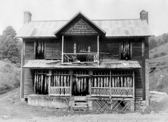 Abandoned dwelling being used as a curing barn for burley tobacco in Watauga County, 1960. North Carolina Collection, University of North Carolina at Chapel Hill Library.